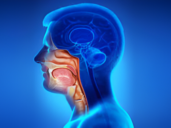 head & neck cancers ​