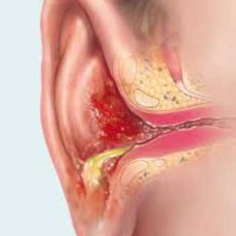 untitled (340 x 340 px) (20)