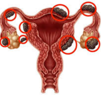 untitled (340 x 340 px) (27)