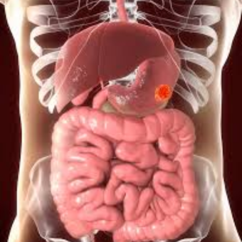 untitled (340 x 340 px) (28)