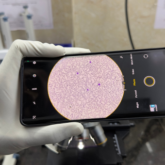 untitled (340 x 340 px) (29)