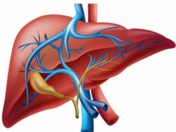 untitled design (17)