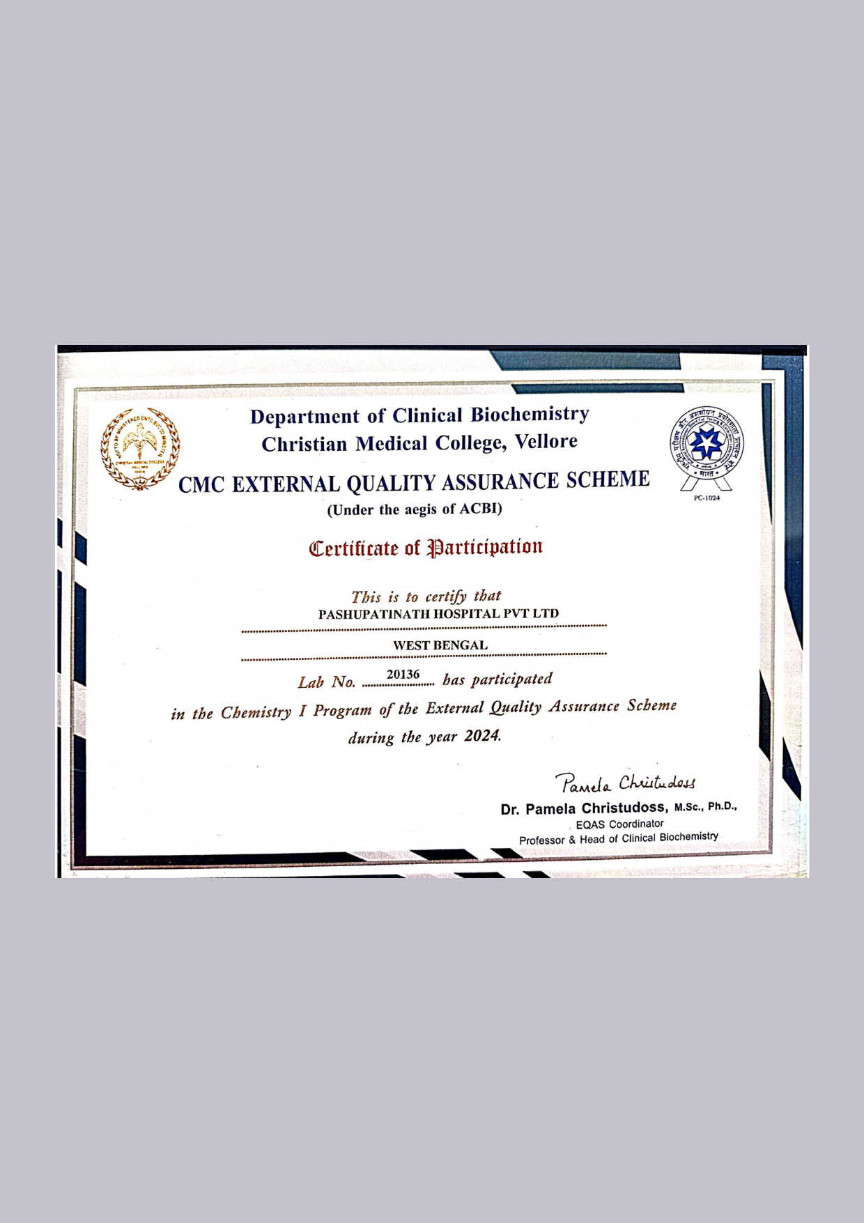 untitled design (17)