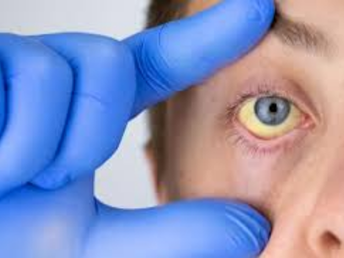 untitled design (21)