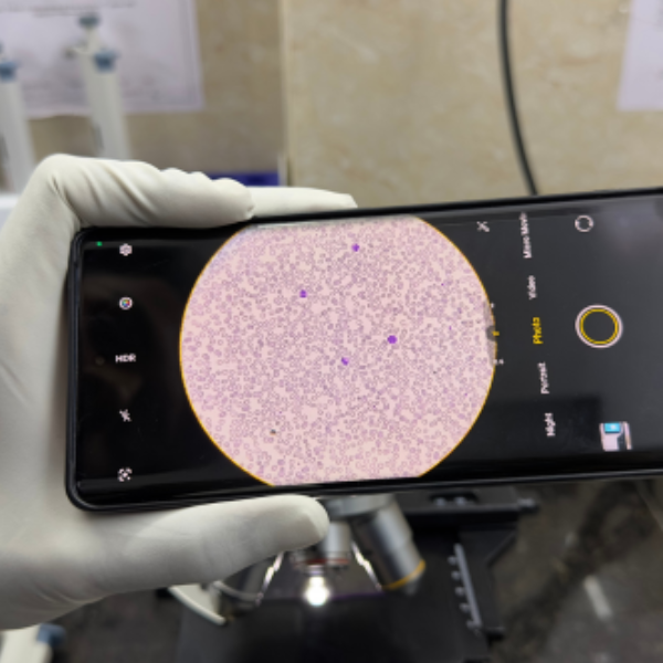 untitled design (23)