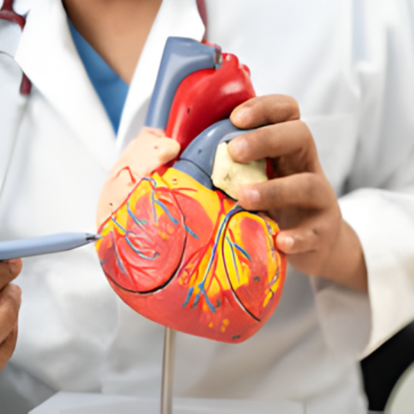 untitled design (34)